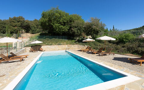 Villa Nova: Zwembad, Eigendom, Onroerend Goed, Vrije Tijd, Huis, Water, Vakantie, Landgoed, Villa, Boom