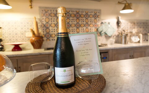 Villa Nova: Drinken, Champagne, Wijn, Alcoholische Drank, Glazen Fles, Fles, Wijnfles, Likeur