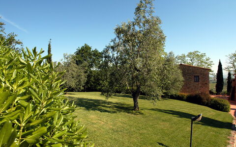 La Valle: Boom, Eigendom, Gras, Huis, Fabriek, Tuin, Woody Plant, Plantkunde, Onroerend Goed, Grassenfamilie