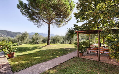 Le Pergole: Eigendom, Onroerend Goed, Natuurlijk Landschap, Boom, Huis, Gras, Tuin, Huis, Plantkunde, Werf