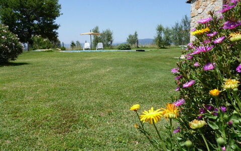 Funghi 1: Gazon, Weide, Gras, Tuin, Bloem, Natuurlijke Omgeving, Werf, Grasland, Fabriek, Wildflower