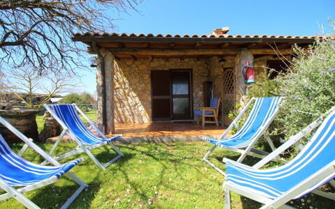 Funghi 1: Eigendom, Huis, Gebouw, Verblijf, Boom, Villa, Backyard, Onroerend Goed, Vrije Tijd, Huis