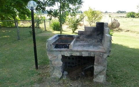 Funghi 1: Gras, Boom, Landschap, Fabriek, Steen