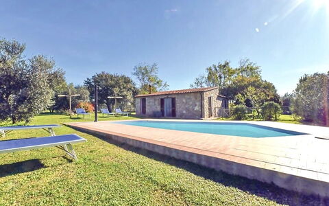 Funghi 1: Fabriek, Lucht, Gebouw, Boom, Azure, Schaduw, Zwembad, Land Lot, Gras, Huis