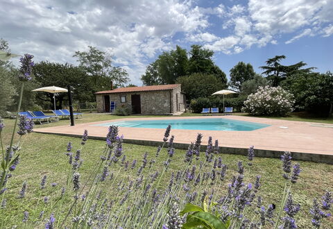 Funghi 1: Wolk, Fabriek, Lucht, Water, Bloem, Zwembad, Boom, Gras, Natuurlijk Landschap, Vrije Tijd