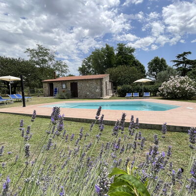 Funghi 1: Wolk, Fabriek, Lucht, Water, Bloem, Zwembad, Boom, Gras, Natuurlijk Landschap, Vrije Tijd