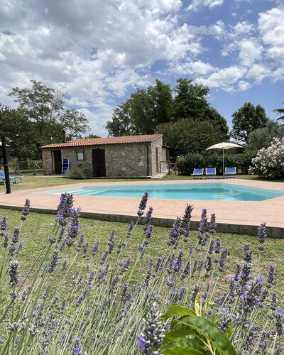 Funghi 1: Wolk, Fabriek, Lucht, Water, Bloem, Zwembad, Boom, Gras, Natuurlijk Landschap, Vrije Tijd
