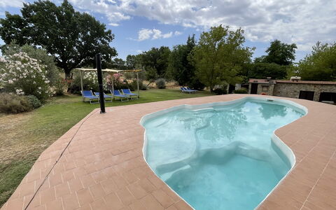 Funghi 2: Wolk, Lucht, Water, Fabriek, Zwembad, Boom, Schaduw, Vrije Tijd, Samengesteld Materiaal, Onroerend Goed