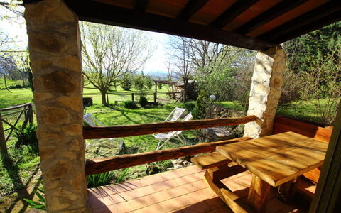 Funghi 2: Eigendom, Natuurlijk Landschap, Kamer, Gebouw, Huis, Boom, Veranda, Onroerend Goed, Verblijf, Landscaping