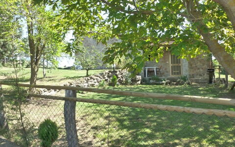 Funghi 2: Eigendom, Boom, Werf, Huis, Land Lot, Backyard, Gras, Huis, Onroerend Goed, Gazon