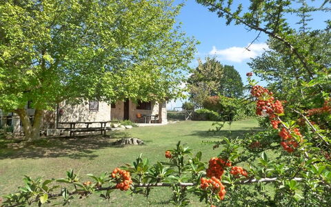 Funghi 2: Vegetation, Eigendom, Natuurlijk Landschap, Huis, Tuin, Boom, Bloem, Fabriek, Onroerend Goed, Verblijf