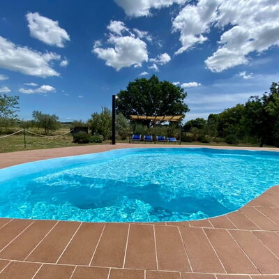 Funghi 2: Water, Lucht, Wolk, Watervoorraden, Zwembad, Fabriek, Azure, Rechthoek, Boom, Schaduw