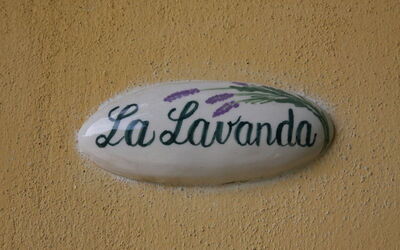 Accommodatie:&nbsp;Lavanda