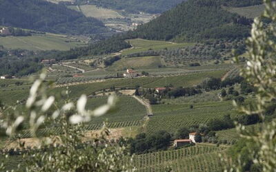 Accommodatie:&nbsp;Pruno