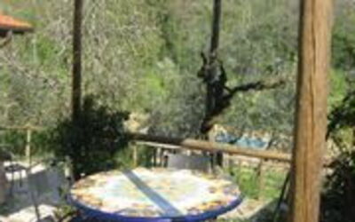 Accommodatie:&nbsp;Salvia