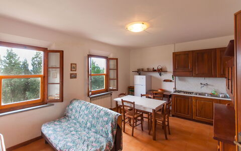 Accommodatie:&nbsp;Spini 2