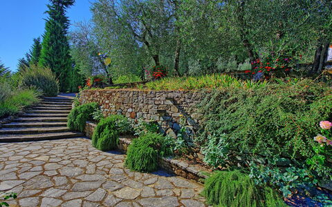Villa Montalcino: Tuin, Vegetation, Muur, Boom, Fabriek, Gang, Botanische Tuin, Plantkunde, Landschap, Grassenfamilie