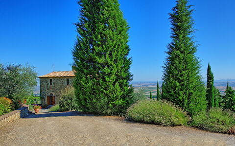Villa Montalcino: Boom, Fabriek, Woody Plant, Thuya, Lodgepolepijnboom, Biome, Red Juniper, Evergreen, American Larch, Naaldboom