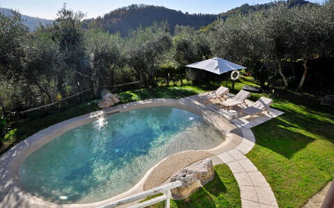 Casa Roberto: Zwembad, Waterpartij, Tuin, Toevlucht, Landscaping, Badplaats, Hacienda, Villa, Backyard, Eco Hotel