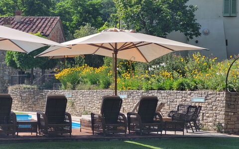 Angeloni: Fabriek, Meubilair, Paraplu, Stoel, Tafel, Schaduw, Boom, Buitenmeubels, Plantkunde, Gebouw