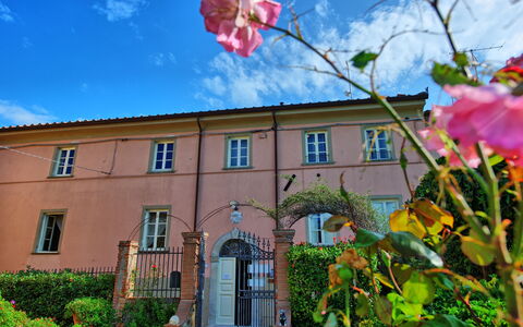 Il Gualdo: Eigendom, Huis, Huis, Lucht,  Dorf\, Gebouw, Onroerend Goed, Architectuur, Boom, De Lente