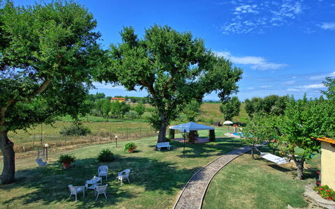 Casa Catia: Eigendom, Boom, Onroerend Goed, Werf, Vervoer, Tuin, Huis, Land Lot, Landelijk Gebied, Huis