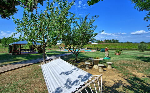 Casa Catia: Boom, Onroerend Goed, Gras, Woody Plant, Vrije Tijd, Landschap, Fabriek, Landelijk Gebied, Huis, Recreatie