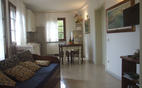 Accommodatie:&nbsp;Erica