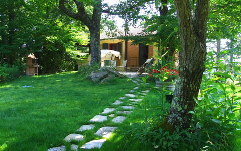 Villa La Quercia: Natuurlijk Landschap, Natuur, Groen, Werf, Vegetation, Gras, Eigendom, Boom, Tuin, Backyard