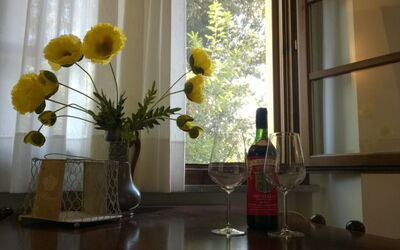 Accommodatie:&nbsp;Fresia