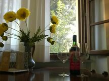 Accommodatie:&nbsp;Fresia