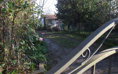 Villa Agrifogli: Vervoer, Boom, Wiel, Gras, Ijzer, Fabriek, Huis, Weg, Voertuig