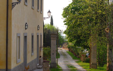 Tenuta Il Tresto: Boom,  Dorf\, Straat, Steeg, Muur, Weg, Architectuur, Buurt, Huis, Gebouw