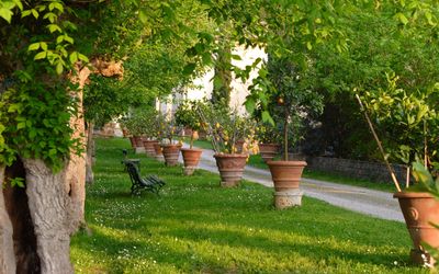 Il viale che conduce agli appartamenti e alla piscina