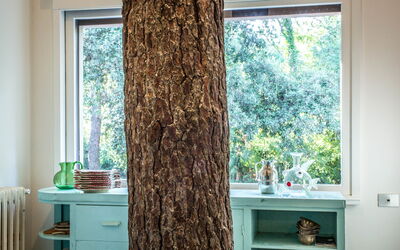 Marina Dei Ronchi Prestige